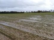 Calamité agricole - orages du 23 et 24 octobre 2023